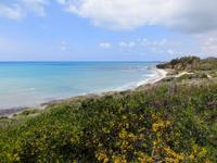 Wanderung Petra tou romiou nature Trail