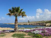 Spaziergang nach Paphos