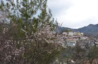 Agros 