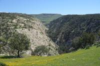 Avagas-Schlucht