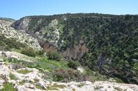 Avagas-Schlucht