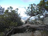 DSCN2128  Ausblicke