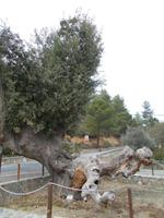 DSCN2170  
