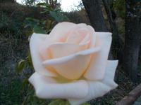 DSCN2179