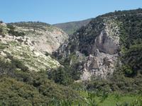 DSCN2634
