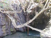 DSCN2657