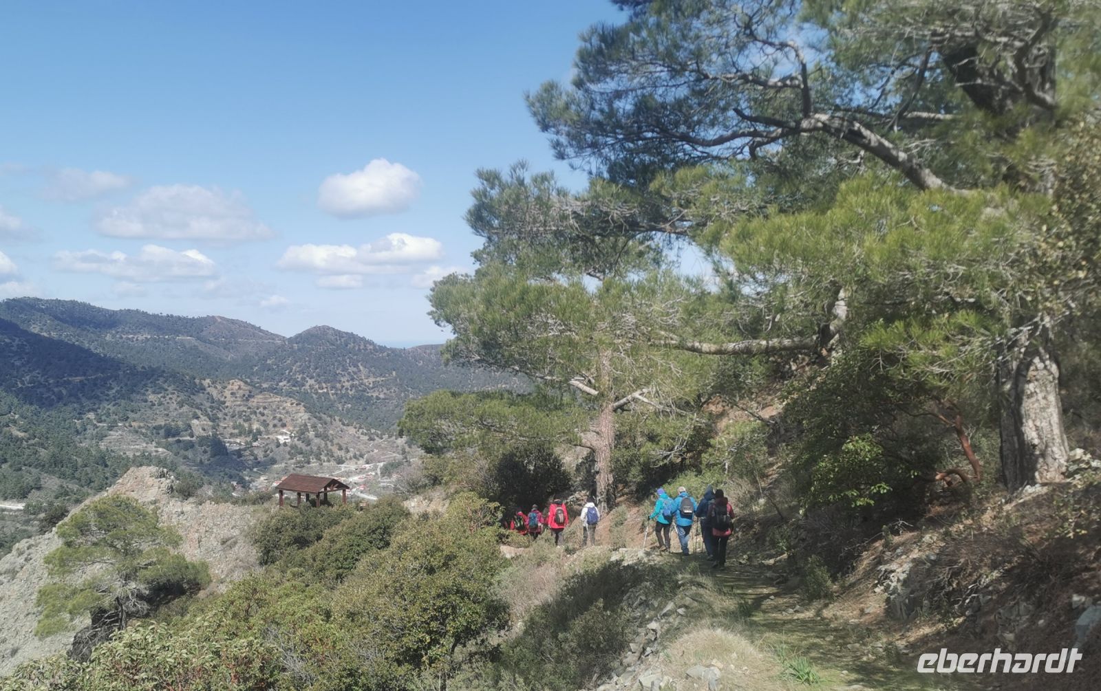 Die Gruppe beim Wandern