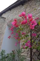 Kloster Agios Minas