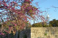 Kyrenia