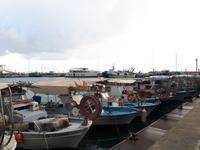 Limassol (5)
