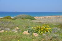 Mittelmeer