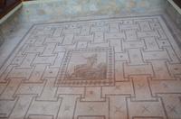 Mosaik des Narziss