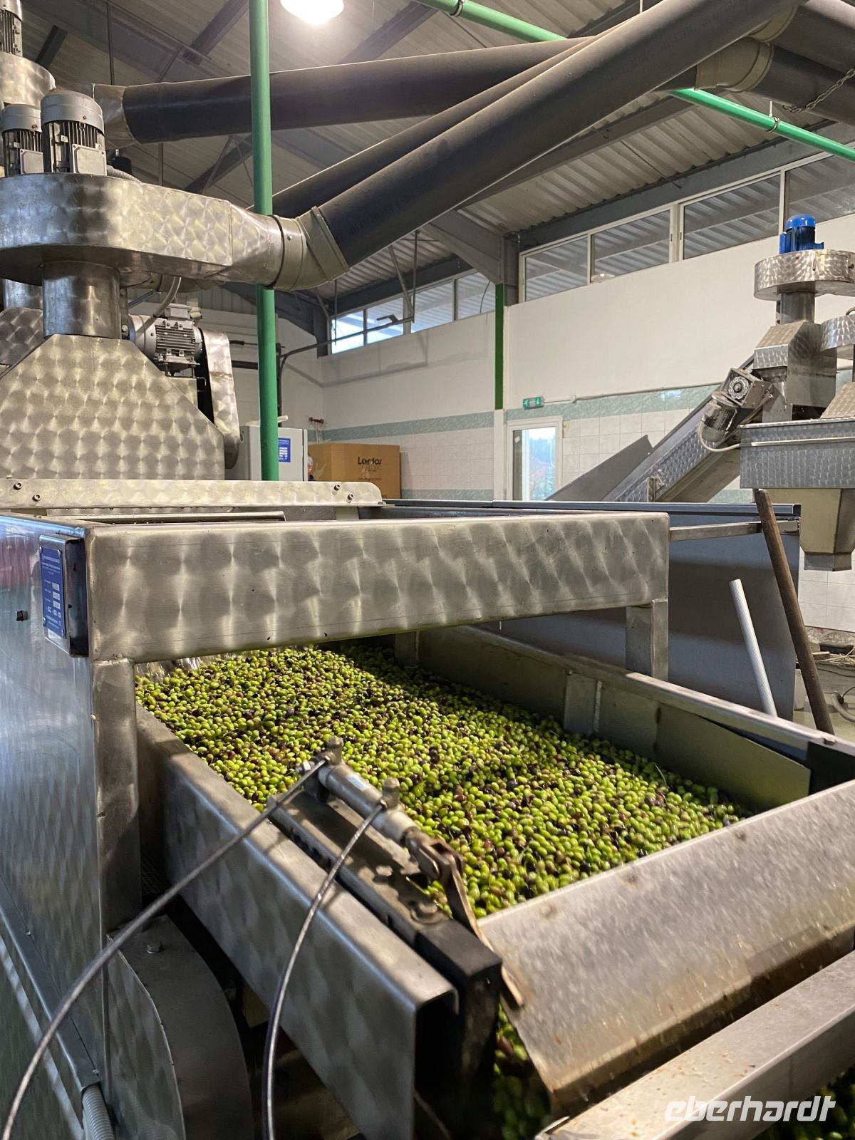 Olivenpresse