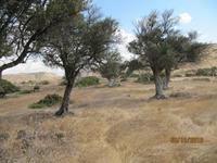 Pissouri-Wanderung