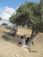 Pissouri-Wanderung