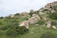 Südküste Zyperns