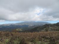 Silvester-Rundreise Zypern - Troodosgebirge