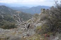Trodoos-Gebirge