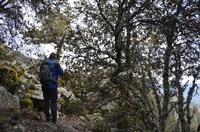 Trodoos-Gebirge