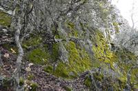Trodoos-Gebirge