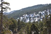 Trodoos-Gebirge