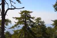 Trodoos-Gebirge