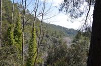 Trodoos-Gebirge