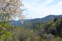 Trodoos-Gebirge