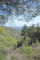 Trodoos-Gebirge