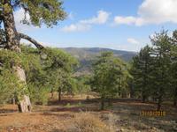 Troodos- Gebirge