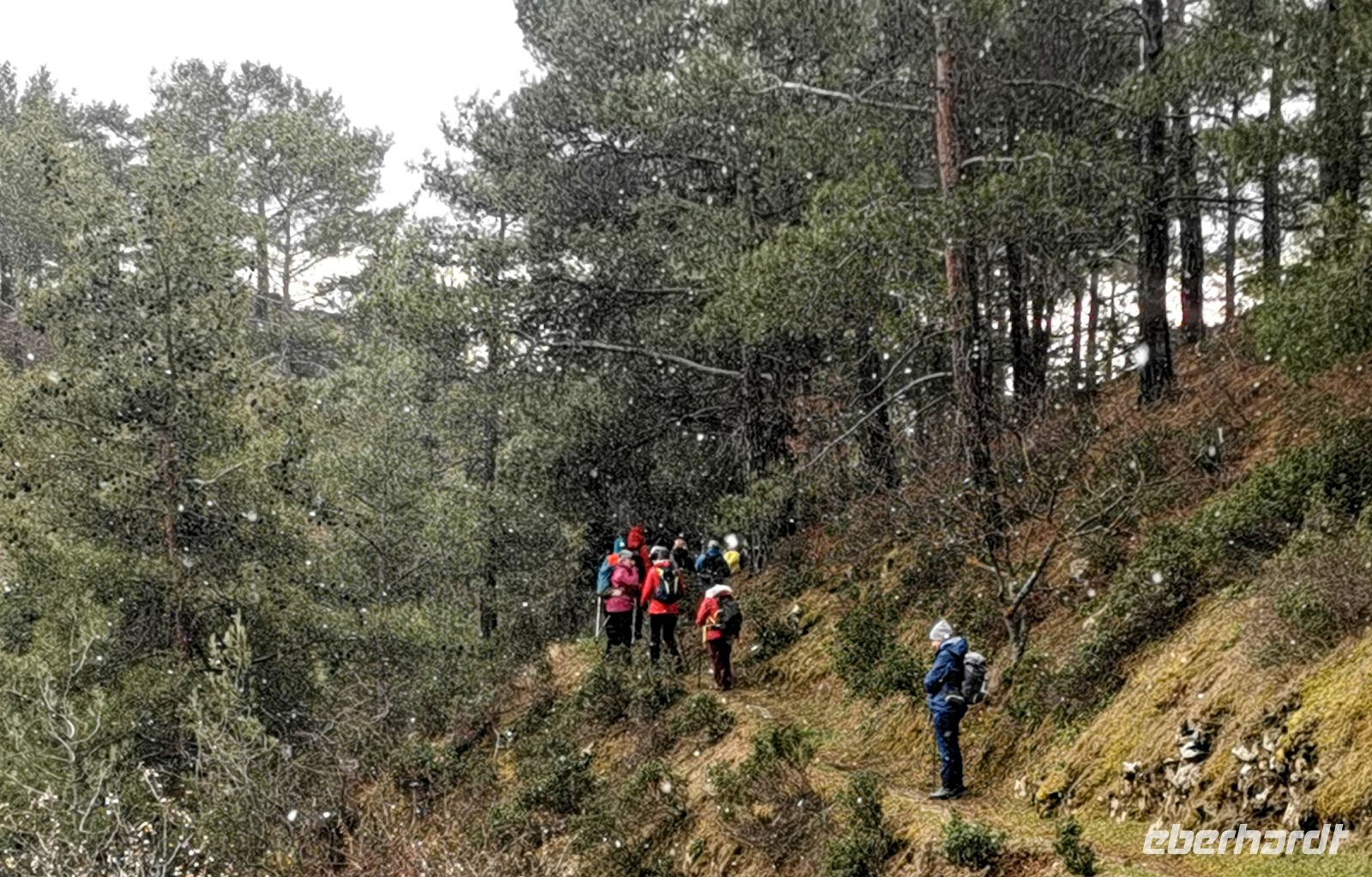 Waldpfad von Stavros tou Agiasmati nach Panagia tour Araka, es schneit