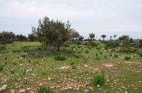 Wanderung zum Aphrodite-Felsen