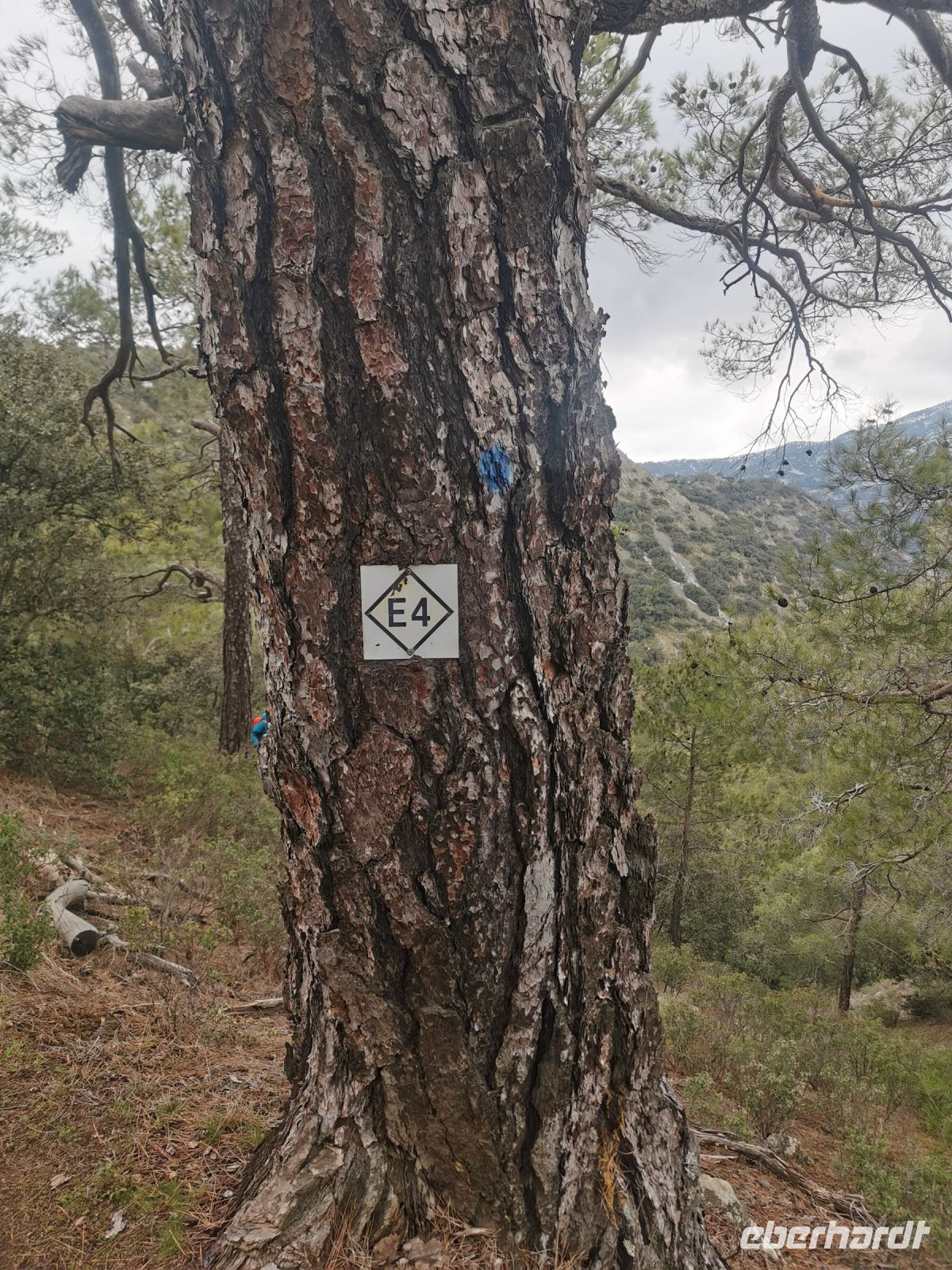Wieder laufen wir auf dem E 4 Europawanderweg