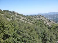 im Troodosgebirge