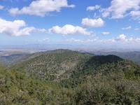 im Troodosgebirge